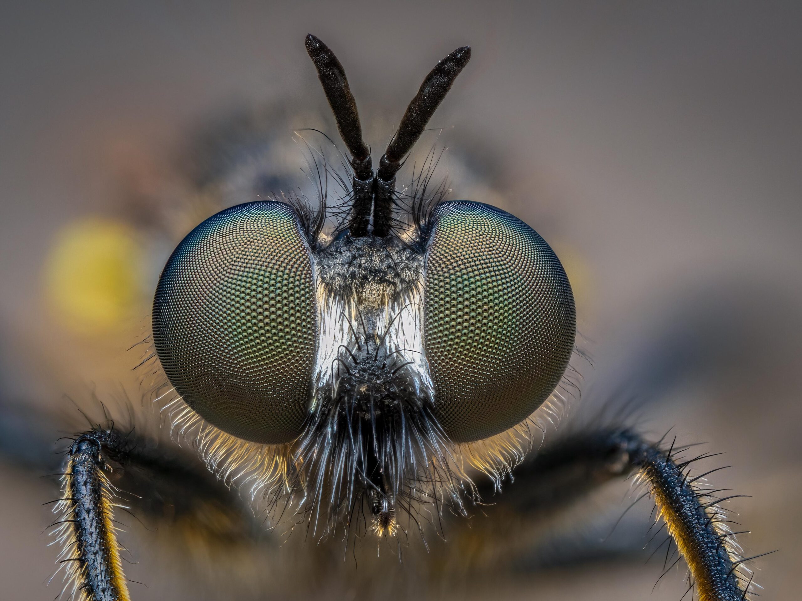 Masterclass focusstack